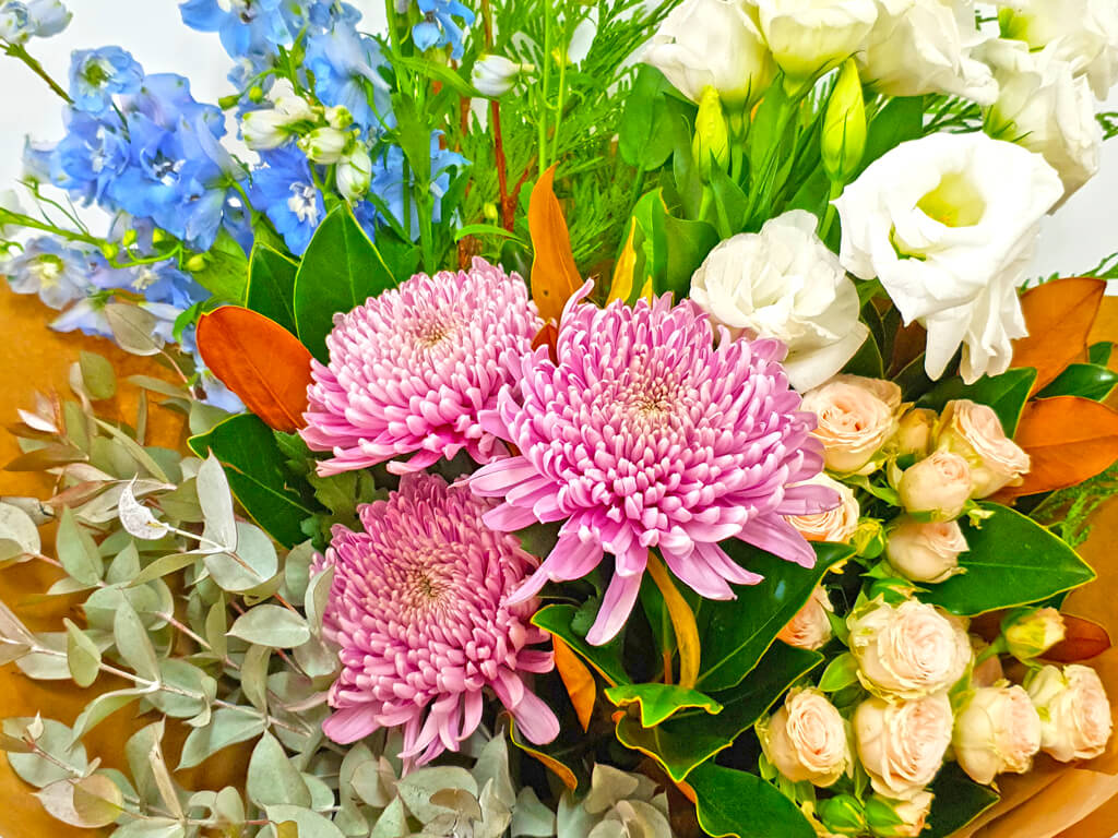 Bountiful Buds & Blooms Touchwood Flowers Port Macquarie