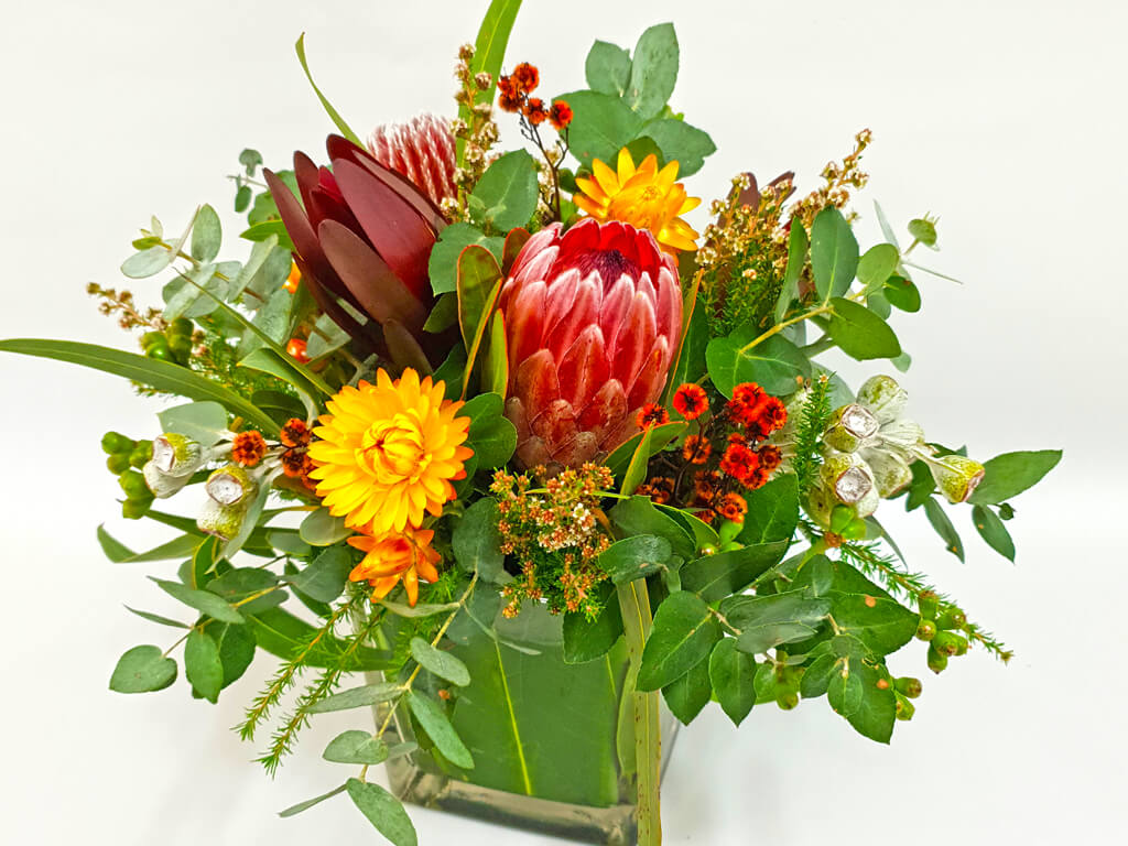 Glass Cube of Natives Touchwood Flowers Port Macquarie