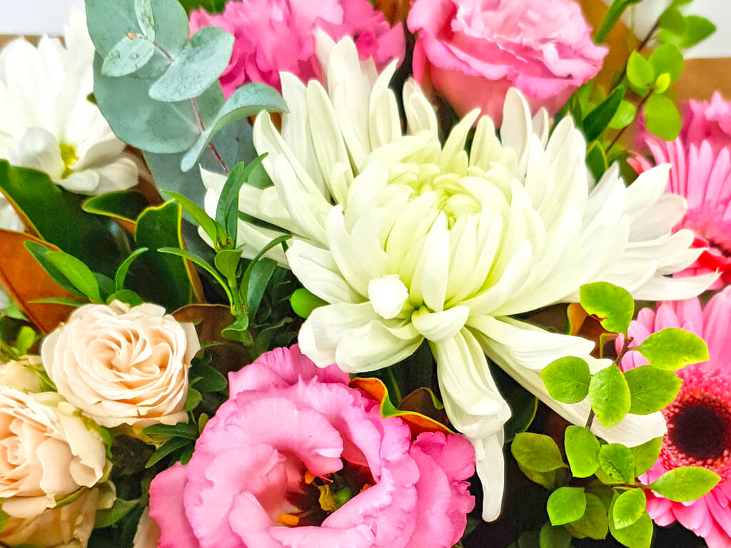 Pretty Posy Touchwood Flowers Port Macquarie