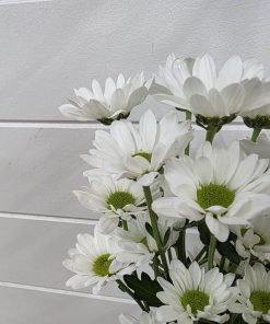 Baby Boy Gift Bundle