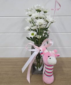 Baby Girl Gift Bundle