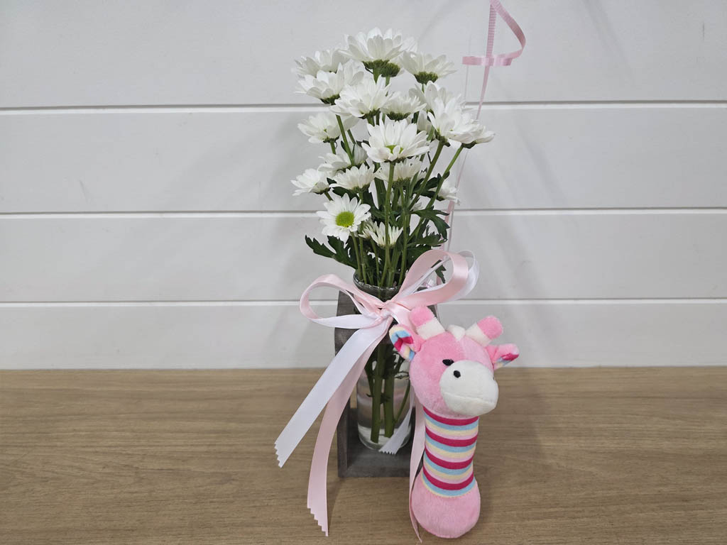 Baby Girl Gift Bundle