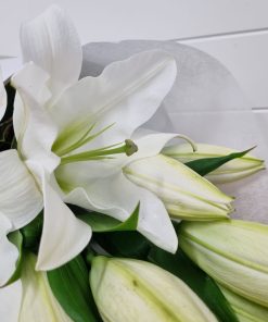 Alternative view of White Christmas