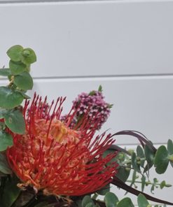 Alternative view of Jingle Bells