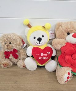 Teddy Selection - Valentines Day Gift Bear