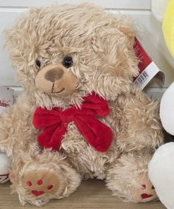 Valentines Day Teddy Selection