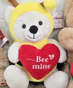 Valentines Day Teddy Selection