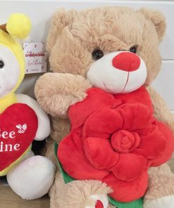 Valentines Day Teddy Selection