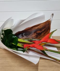 Heliconia and Husks