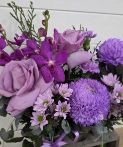 Mauve Trio in Vase