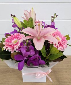 Petite Boxed Cheer Pastel Option