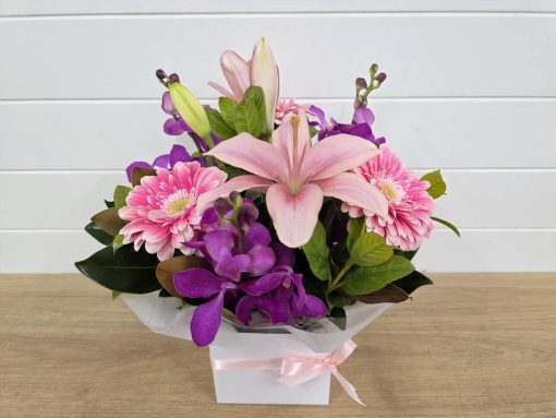 Petite Boxed Cheer Pastel Option