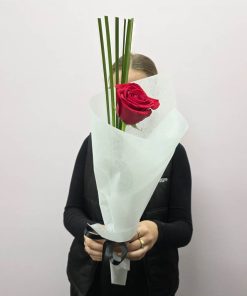 Solitaire Rose Holding