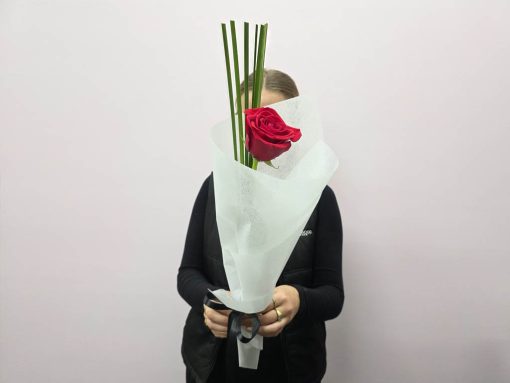 Solitaire Rose Holding