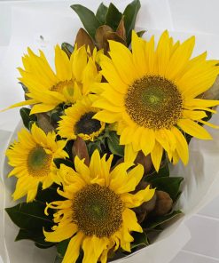 Sunflowers en Masse