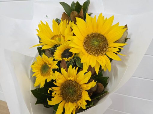 Sunflowers en Masse